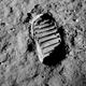 Illustration for article titled India Lands On Lunar Surface (Of A Bangalore Street)